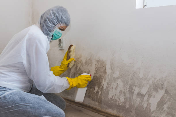 Best Residential Mold Removal  in Ganado, TX