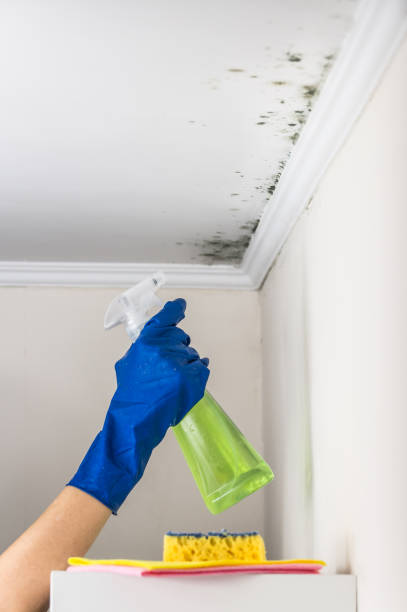 Best Attic Mold Removal  in Ganado, TX